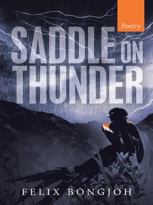 cover image of Saddle on Thunder